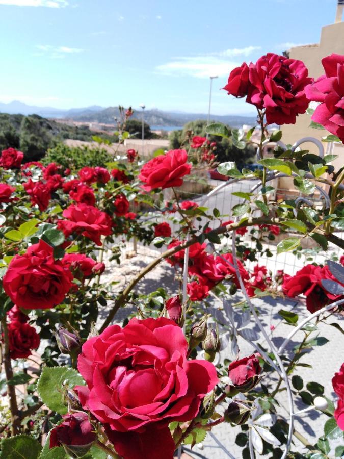 לינה וארוחת בוקר לה מדלנה The Roses Garden מראה חיצוני תמונה