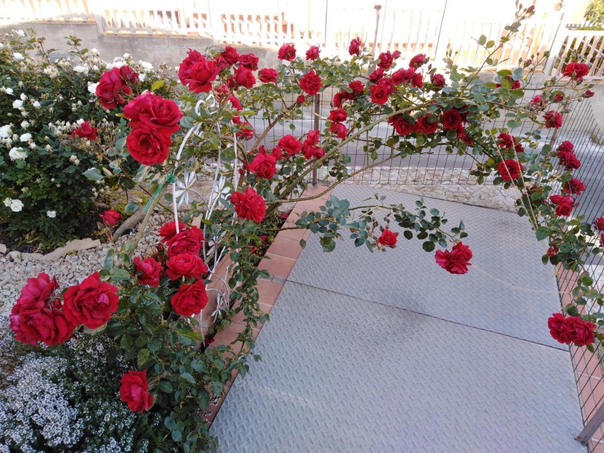 לינה וארוחת בוקר לה מדלנה The Roses Garden מראה חיצוני תמונה